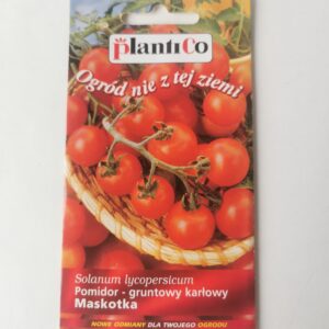 Nasiona Pomidor Gruntowy Karłowy 5g Plantico do ogrodu