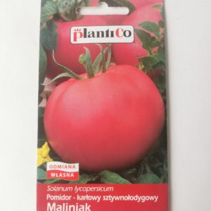 Nasiona Pomidor Gruntowy Solanum 5g Plantico do ogrodu