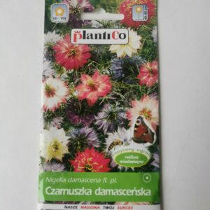 Nasiona Czarnuszka damasceńska 1g Plantico do ogrodu