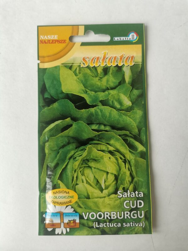 Nasiona sałata Cud Voorburgu 1g do ogrodu