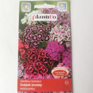 Nasiona Goździk brodaty mix 5g Plantico do ogrodu