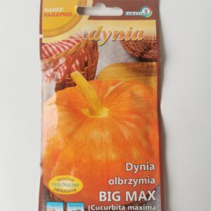 Nasiona dynia Big Max 2g do ogrodu